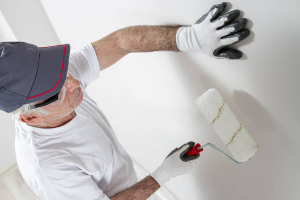 Best Drywall Removal and Disposal  in Mapleton, ND